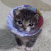 daisysheng_071 - @daisysheng_071 - TikTok