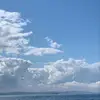 dais - @daisy.shepard - TikTok