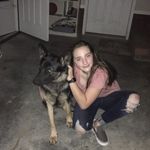 Daisy - @daisy_german_shepard - Instagram