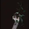 daisyshi - @girlileoo - TikTok
