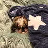 Daisy - @daisytheshih_tzu - TikTok