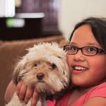 Daisy Shih-Tzu Poodle - @daisy_poodle1 - Instagram