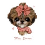 Emma & Daisy-shih tzu sisters - @emma_and_daisy_shihtzusisters - Instagram