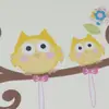 daisy_sunshine - @daisy080905 - TikTok