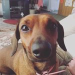Daisy Shoemaker - @day_mae_03 - Instagram