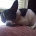 Daisy Shoemaker - Facebook