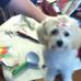 Daisy Shoemaker - Facebook