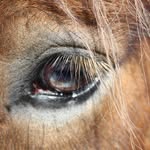 Daisy Mawdsley - @daisy.shutterbug - Instagram