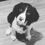 Daisy Shutt - @daisy_shutt_ - Instagram