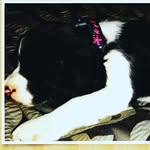 daisy shutt - @daisy_shutt - Instagram