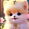 DAISY SIBALA - @daisy.sibala - TikTok