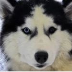 Daisy silver - @daisysilver1234 - Instagram