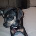 Silver Daisy - Facebook