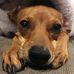 Daisy Simmons - Facebook