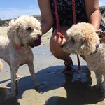 Daisy & Simon - @daisandsimon - Instagram