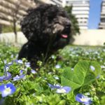 daisy - @daisy._.simon - Instagram