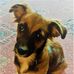 Daisy Simons - Facebook