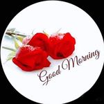 Daisy Sinha - @daisy.sinha.1426 - Instagram