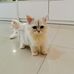 Daisy Siu - Facebook
