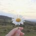 Daisy Smiley - Facebook