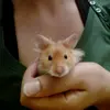 dizy smooth - @daisy.smooth - TikTok