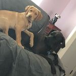 Roux and Daisy Snell - @rouxanddaisy - Instagram