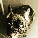 ._.daisy.snow._. - @_.daisy.snow._ - Instagram