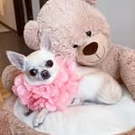 @daisy_snow_princess - Instagram