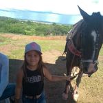 daisy soares 🐴😍 - @daisybatistaxaviersoares - Instagram