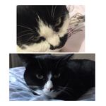 :3 - @xx_socks_and_daisy_xx - Instagram