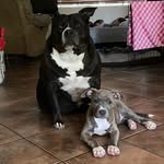 Daisy & Socks - @daisy_socks_lee - Instagram