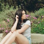 Daisy Sticks - Facebook