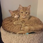 Socks & Daisy - @socksndaisy - Instagram