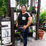 DaisySolares - @daisysolares9063 - Instagram