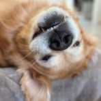 Daisy Song - Facebook