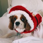 Daisy - @daisy_spears24 - Instagram