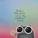 Daisy - @daisyspears01 - Instagram