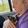 daisyspears - @daisy.spears2 - TikTok