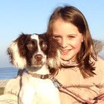 Daisy🐾 - @daisy_doo_springer_spaniel - Instagram