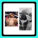 Doggies🐾❤️ - @daisy_stanley_xoxx - Instagram