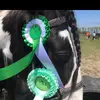 Helloooo - @daisy_stanley_09 - TikTok