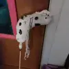 Daisy_stables - @daisy_stables - TikTok