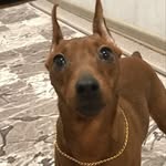 Daisy - @daisy_star_kirov - Instagram