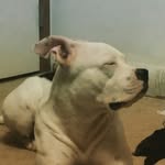 Daisy Sterling - @daisysterling420 - Instagram