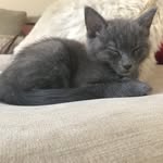 Sterling-Daisy - @sterlinganddaisy - Instagram