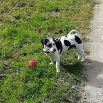 Daisy - @daisy_stern - Instagram
