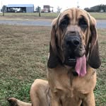 Daisy Lou Stevenson - @daisyloustevenson - Instagram