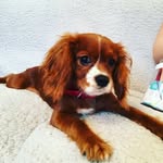 Daisy Stevenson - @daisy_stevenson319 - Instagram