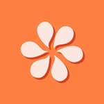 Daisy 🌼 | Still Deiji - @stilldeiji.design - Instagram