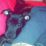 Daisy Stiner - Facebook